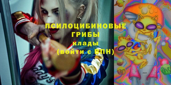 индика Абинск