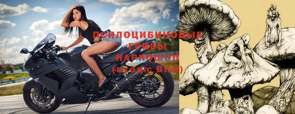 ГАЛЛЮЦИНОГЕННЫЕ ГРИБЫ Алексин