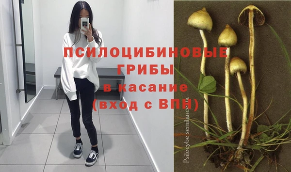 эйфоретик Абаза