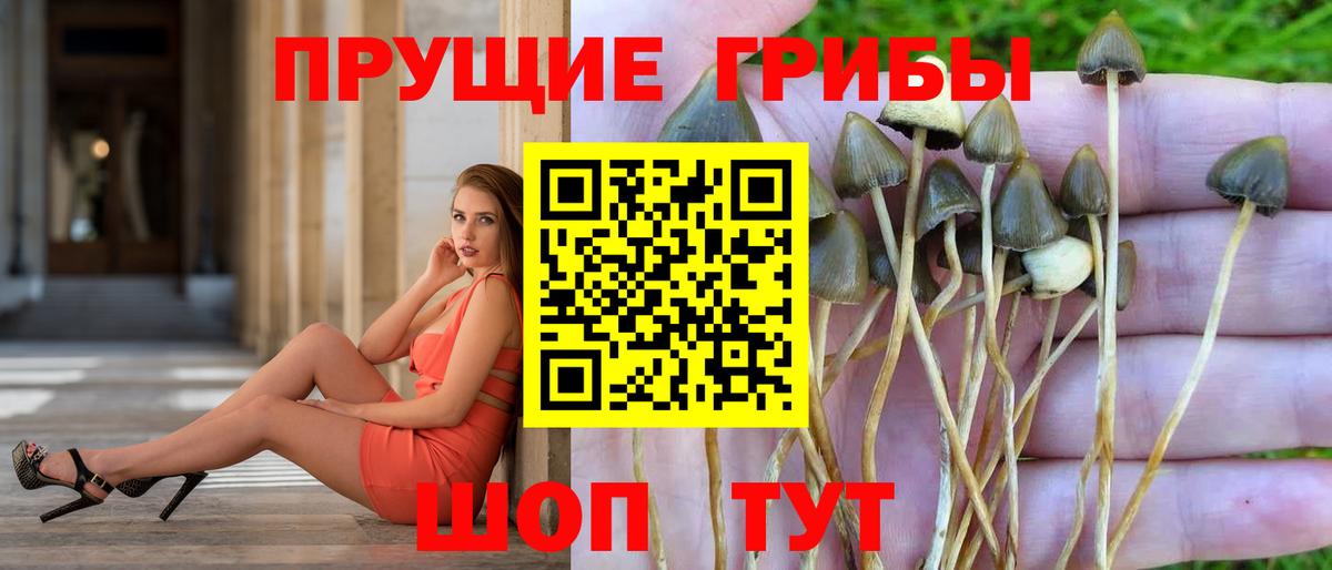 Галлюциногенные грибы ЛСД  Вход с VPN  Кострома 