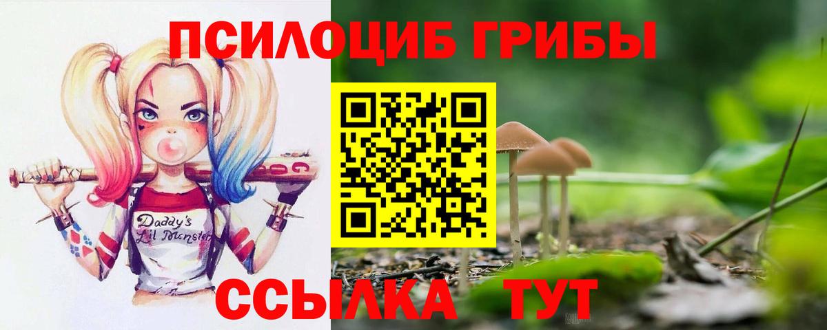 Псилоцибиновые грибы мухоморы Кострома