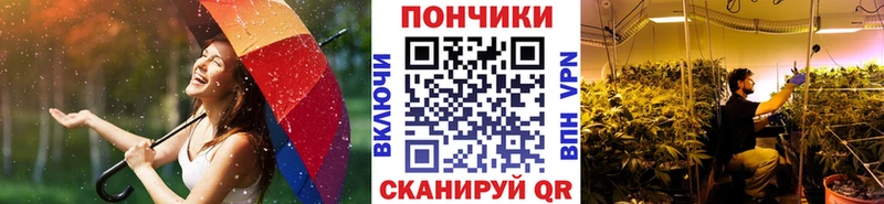 OMG   Кострома  Каннабис конопля 